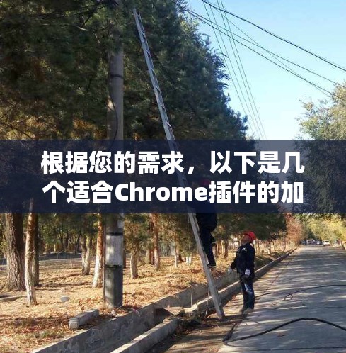 根据您的需求，以下是几个适合Chrome插件的加速器推荐