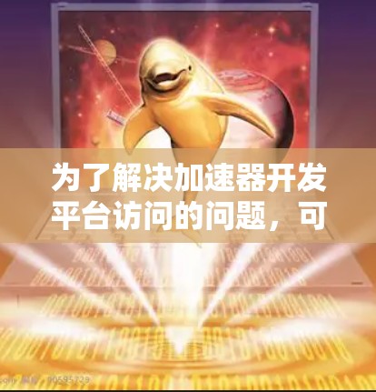 为了解决加速器开发平台访问的问题，可以按照以下步骤进行排查和解决