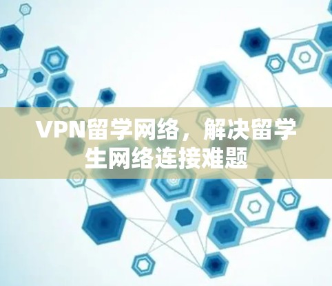 VPN留学网络，解决留学生网络连接难题