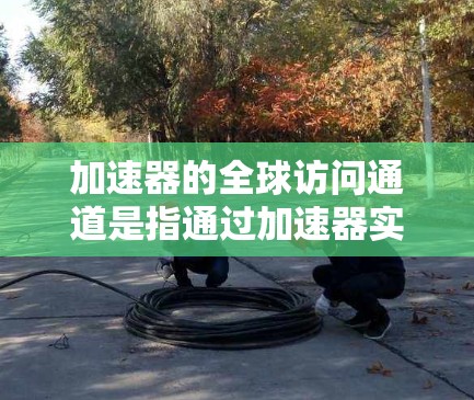 加速器的全球访问通道是指通过加速器实现对全球分布式数据中心或云服务的高效、低延迟访问。这对于需要处理大规模数据、进行分布式计算或实时数据分析的应用场景尤为重要
