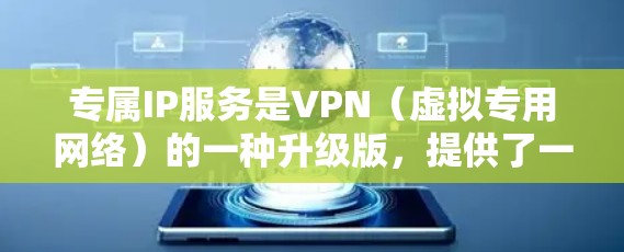 专属IP服务是VPN（虚拟专用网络）的一种升级版，提供了一层额外的安全和管理功能。以下是对专属IP服务的详细分析