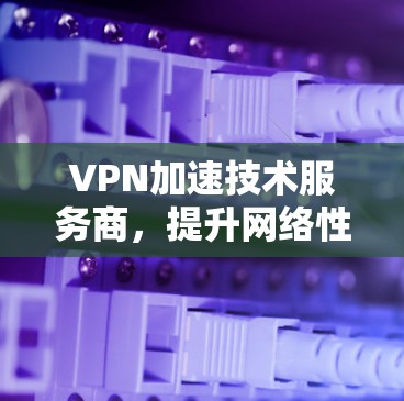 VPN加速技术服务商，提升网络性能的关键解决方案