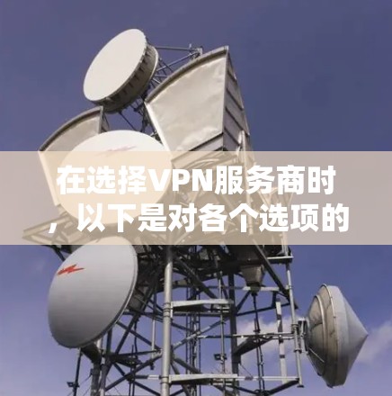 在选择VPN服务商时，以下是对各个选项的详细分析和建议