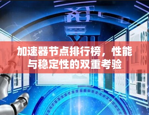 加速器节点排行榜，性能与稳定性的双重考验