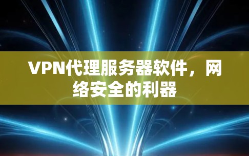 VPN代理服务器软件，网络安全的利器