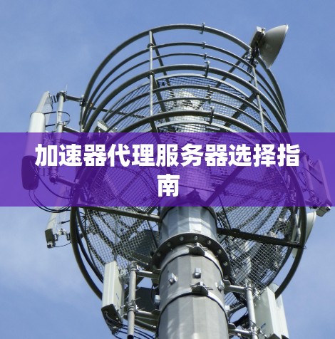 加速器代理服务器选择指南
