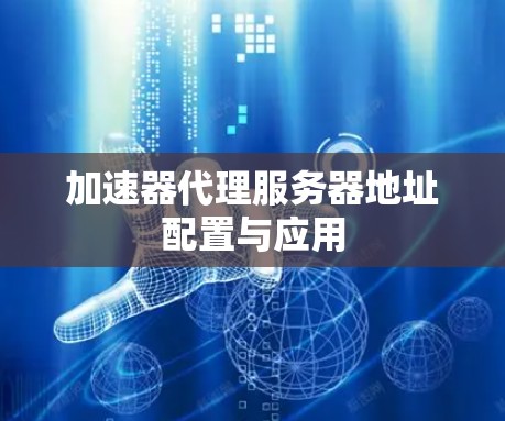 加速器代理服务器地址配置与应用