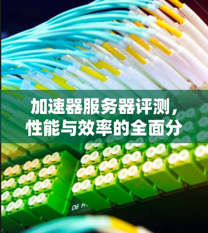 加速器服务器评测，性能与效率的全面分析