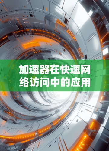 加速器在快速网络访问中的应用与挑战