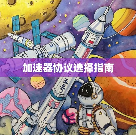 加速器协议选择指南