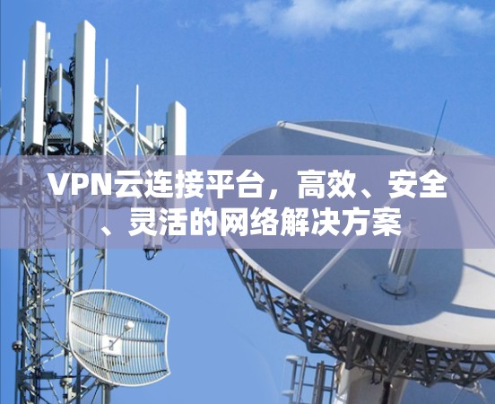 VPN云连接平台，高效、安全、灵活的网络解决方案