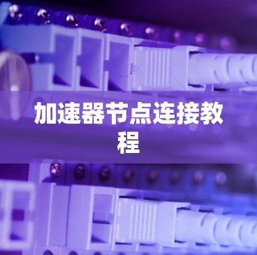 加速器节点连接教程