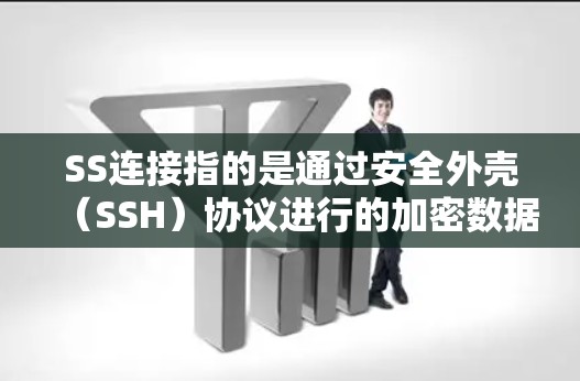 SS连接指的是通过安全外壳（SSH）协议进行的加密数据传输连接。以下是关于SS连接的详细步骤说明