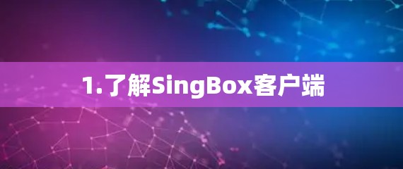 1.了解SingBox客户端