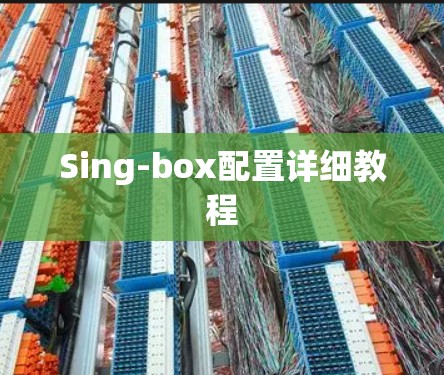 Sing-box配置详细教程