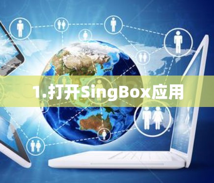 1.打开SingBox应用