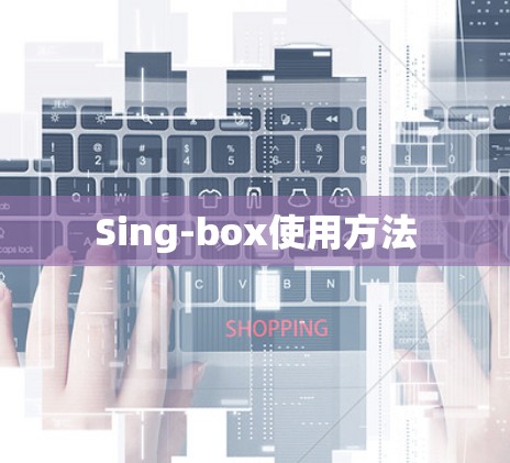 Sing-box使用方法