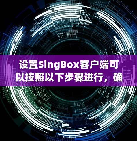 设置SingBox客户端可以按照以下步骤进行，确保顺利配置