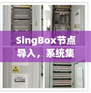 SingBox节点导入，系统集成与应用实践