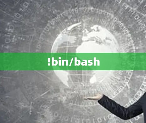 !bin/bash