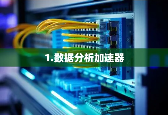 1.数据分析加速器