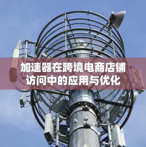 加速器在跨境电商店铺访问中的应用与优化