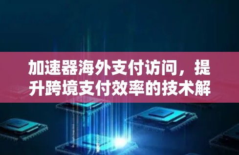 加速器海外支付访问，提升跨境支付效率的技术解决方案
