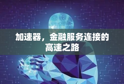 加速器，金融服务连接的高速之路