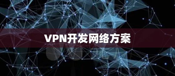 VPN开发网络方案