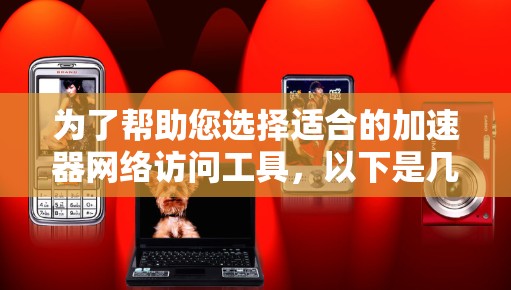 为了帮助您选择适合的加速器网络访问工具，以下是几种常见工具的分析和建议