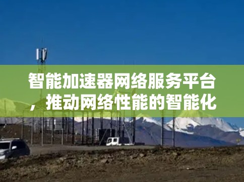 智能加速器网络服务平台，推动网络性能的智能化与加速