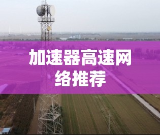 加速器高速网络推荐