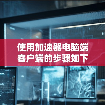 使用加速器电脑端客户端的步骤如下