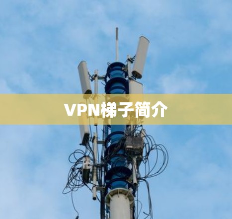 VPN梯子简介