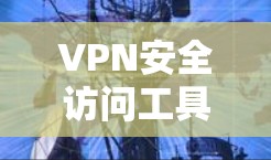 VPN安全访问工具，保障通信安全的利器