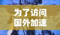 为了访问国外加速器论坛并解决可能遇到的问题，可以按照以下步骤进行