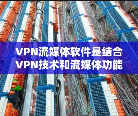 VPN流媒体软件是结合VPN技术和流媒体功能的软件，旨在保护用户隐私，同时允许用户访问受限的内容或流媒体服务。以下是选择VPN流媒体软件的关键考虑因素和推荐