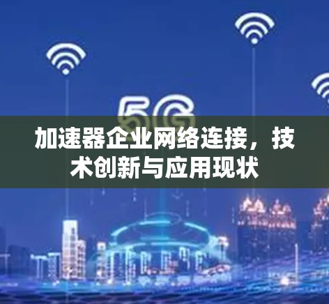 加速器企业网络连接，技术创新与应用现状