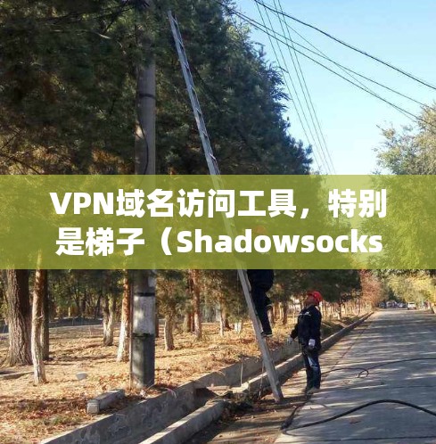 VPN域名访问工具，特别是梯子（Shadowsocks）是一种特殊的网络代理工具，专门用于在被限制访问特定域名的情况下，帮助用户绕过网络限制，访问所需的网站。以下是详细的解释和步骤指南