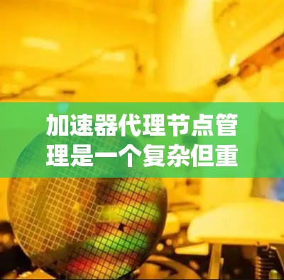加速器代理节点管理是一个复杂但重要的任务，涉及多个方面的知识和技能。以下是对该任务的系统化总结