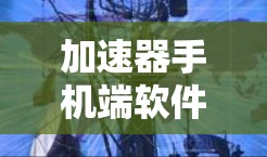 加速器手机端软件，提升通信性能的关键技术