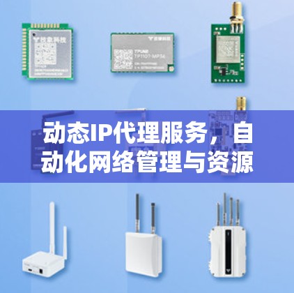 动态IP代理服务，自动化网络管理与资源优化