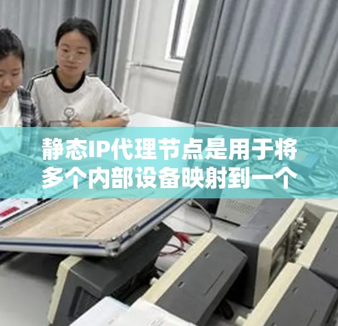 静态IP代理节点是用于将多个内部设备映射到一个静态IP地址的网络组件，主要用于节省IP地址资源和提高网络管理效率。以下是对静态IP代理节点的详细分析