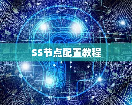 SS节点配置教程