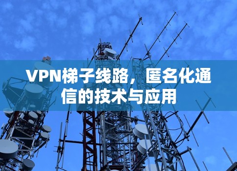VPN梯子线路，匿名化通信的技术与应用