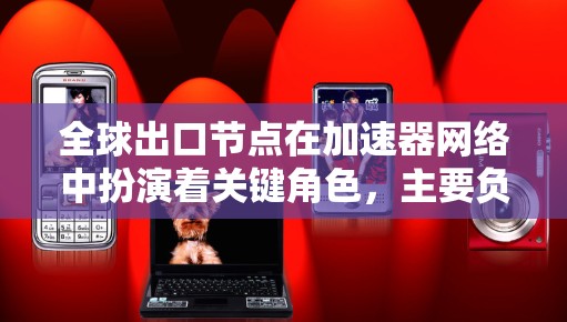 全球出口节点在加速器网络中扮演着关键角色，主要负责跨网络的数据转发和优化，支持全球范围内的数据传输，提升传输效率和性能。以下是对全球出口节点的详细分析