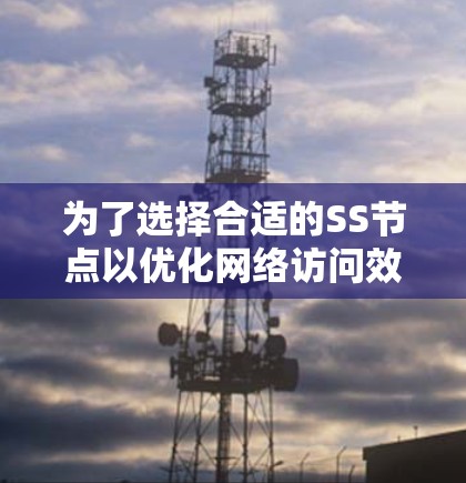 为了选择合适的SS节点以优化网络访问效率，可以按照以下步骤进行