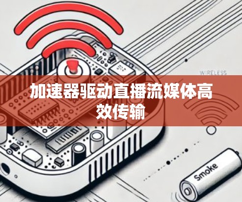 加速器驱动直播流媒体高效传输
