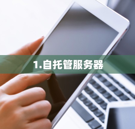 1.自托管服务器