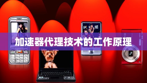 加速器代理技术的工作原理